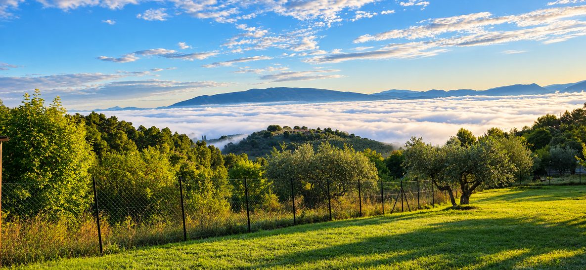 Golden Morning View